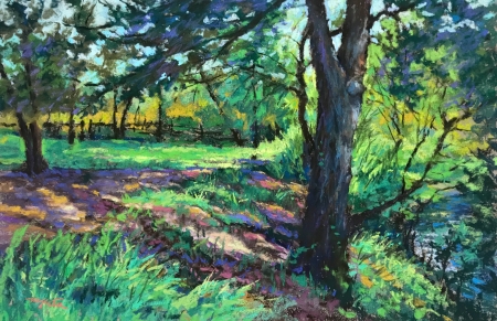 Frio River Reflections by artist Mike Etie